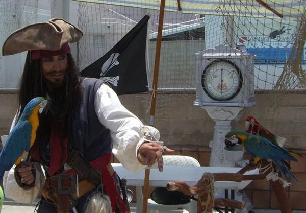 parrot jack the pirate entertainer with parrots