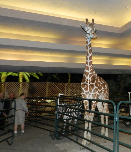 giraffe for rent and other exotic animals for rent
