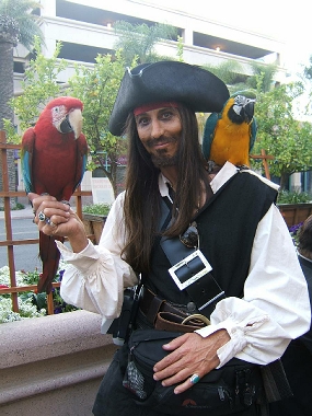 pirate entertainment - a pirate with a parrot