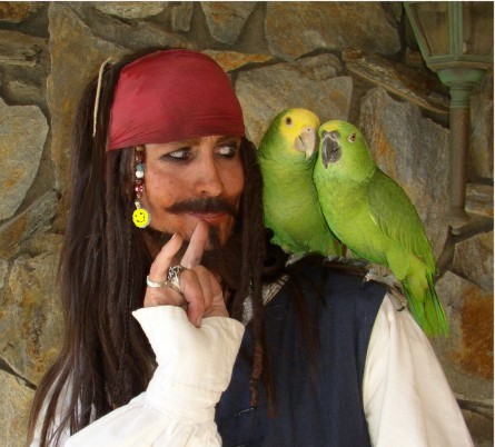 Parrot Jack a Johnny Depp look-alike parody of  captain Jack Sparrow for birthday parties