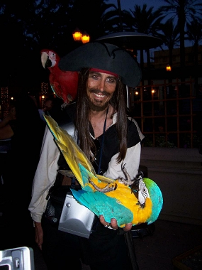 pirate entertainment - a pirate with a parrot
