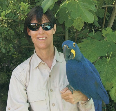 parrot show with a Hyacinth Macaw