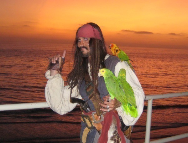 a pirate with parrot for hire