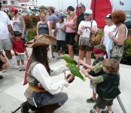 Parrot Jack a pirate  entertainer